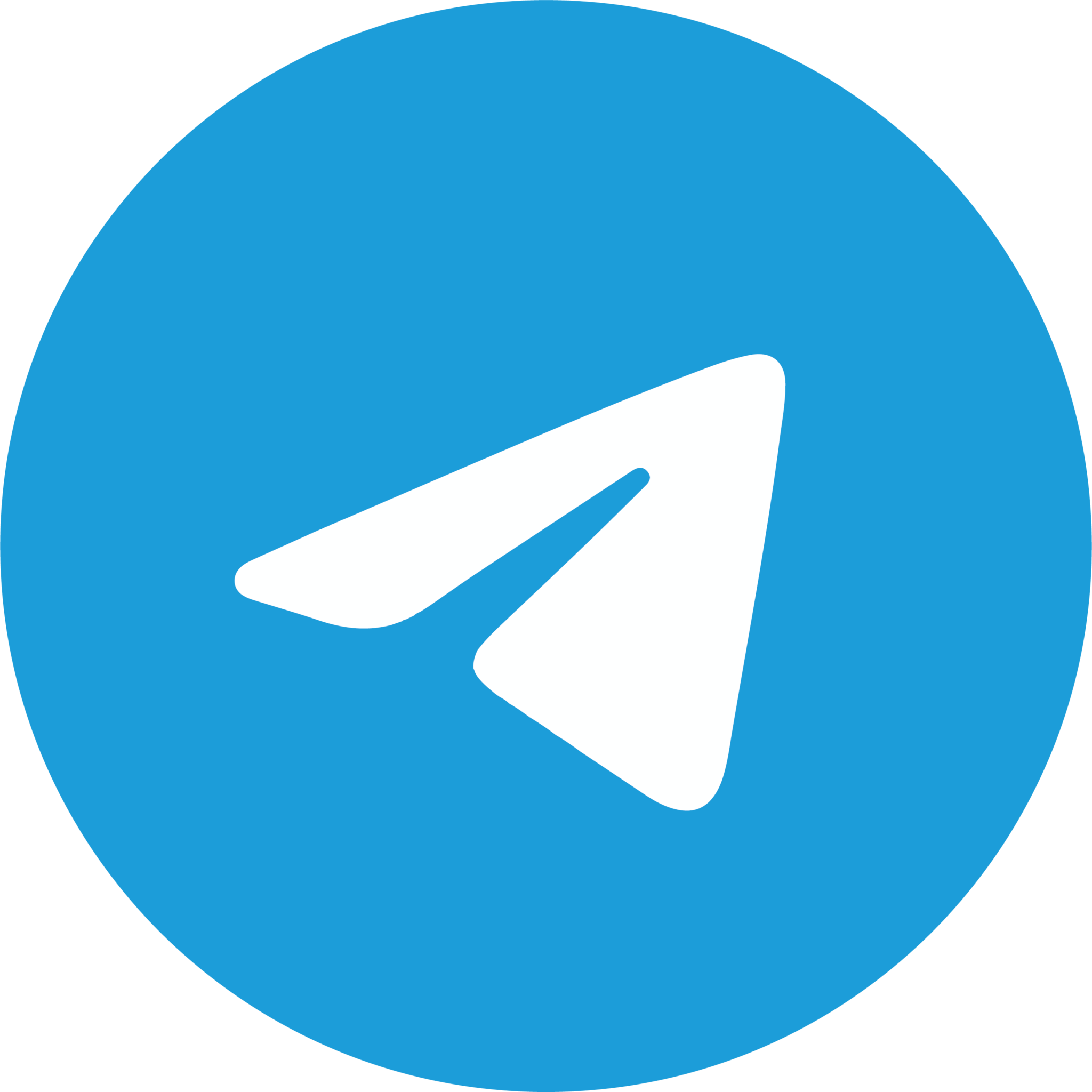 https://t.me/zydenko_com